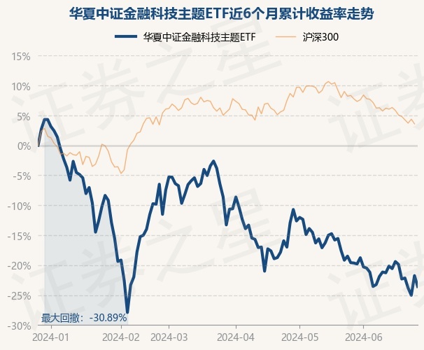 时代背景下的金融观察，最新基金净值解析