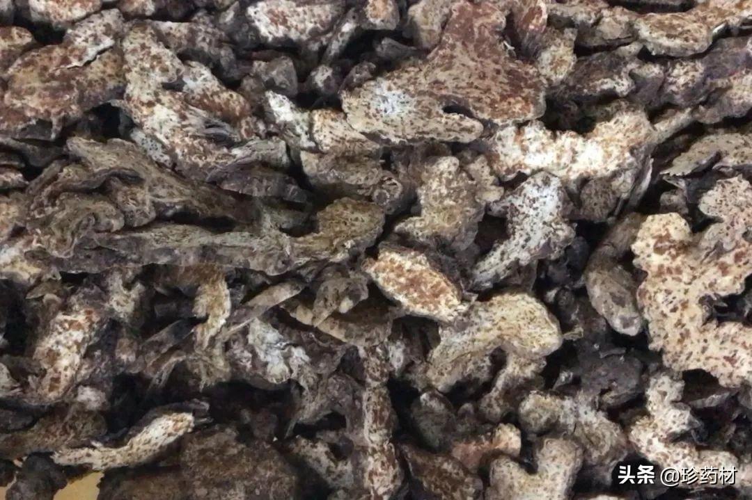 苍术最新行情详解与购买指南
