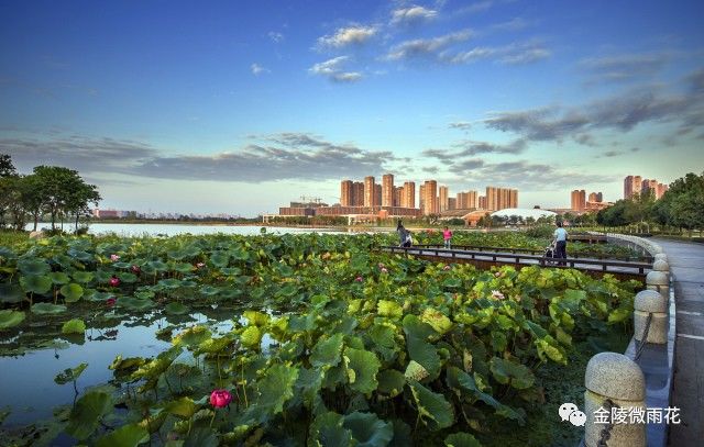 板桥新城最新动态2019，与自然美景的浪漫之旅