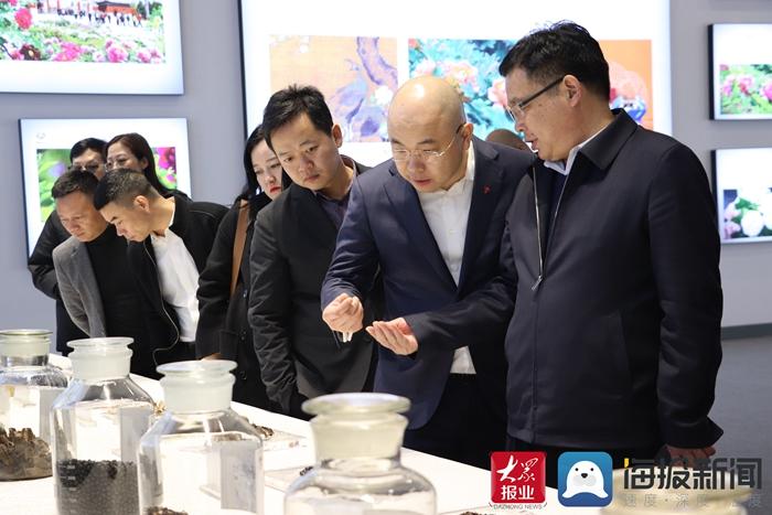 龙池牡丹最新动态，科技之花与生活之美的融合