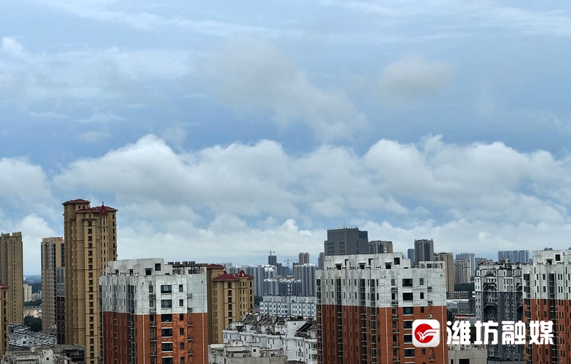 潍坊暴雨预警更新信息及小巷深处的独特风味与秘密小店探索