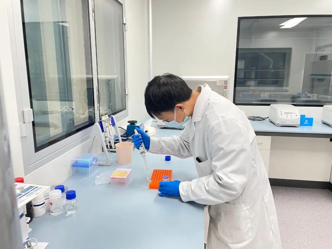 今年高考最新录取线揭秘与背后的奇妙故事