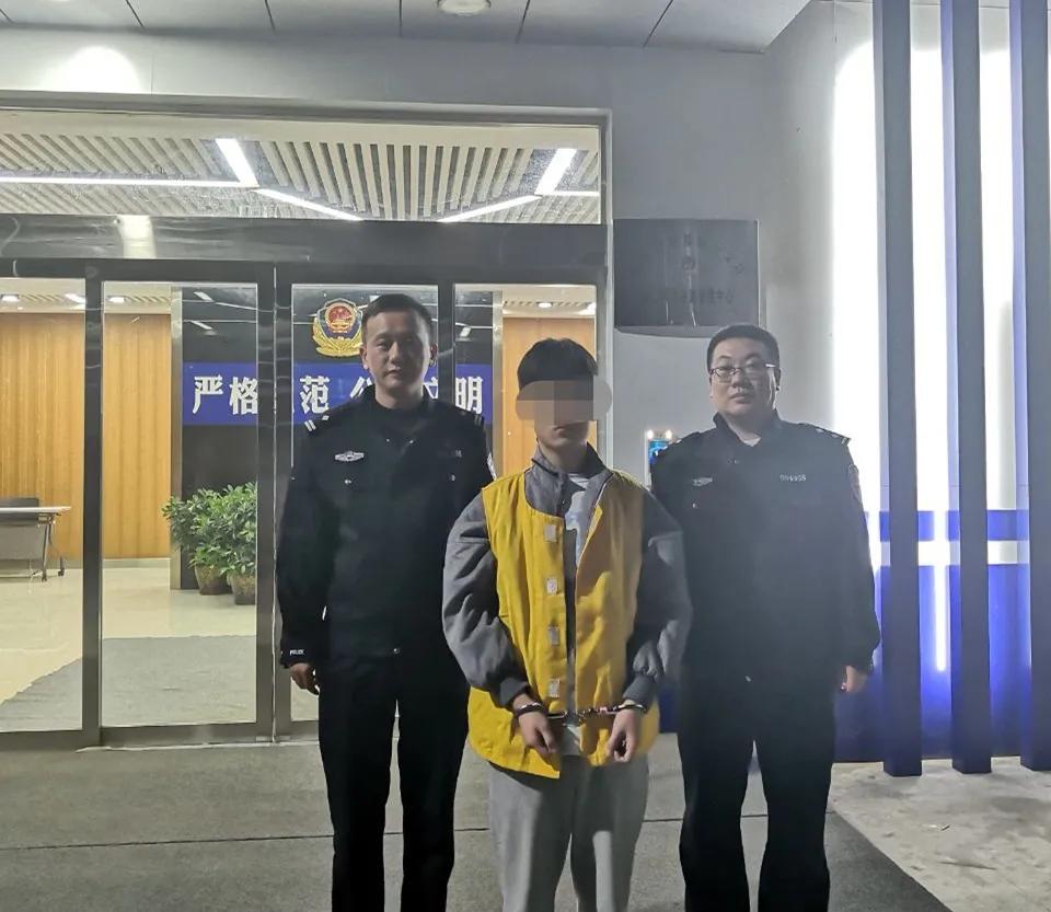 段卡行动最新动态及多方观点论述，影响下的各方反应与观点分析