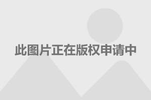 风起洛阳最新消息揭秘，古城下的温馨日常探秘