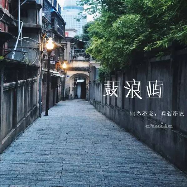 胜利精密最新动态揭秘，小巷特色小店探秘之旅