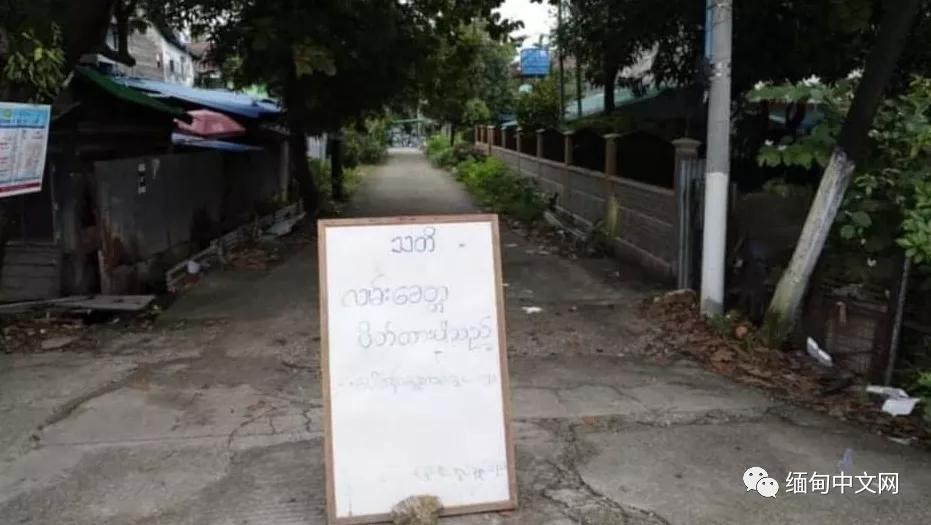 加拉大疫情最新动态及应对指南，初学者与进阶用户的必备参考