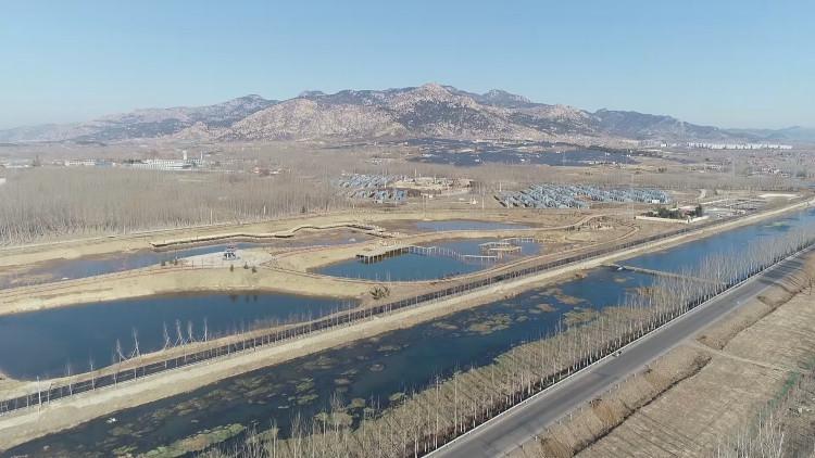 泰安最新文明城市，日常趣事与友情的绽放之旅