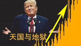 全球关注焦点，特朗普与世界最新疫情消息深度解析