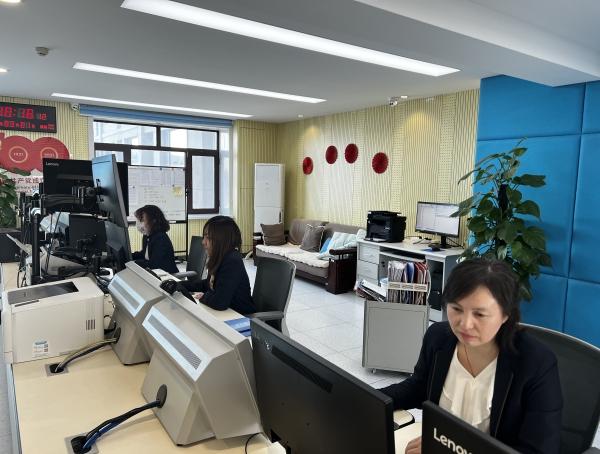 长春龙嘉机场航班查询与预订指南，最新航班信息及初学者进阶用户适用教程