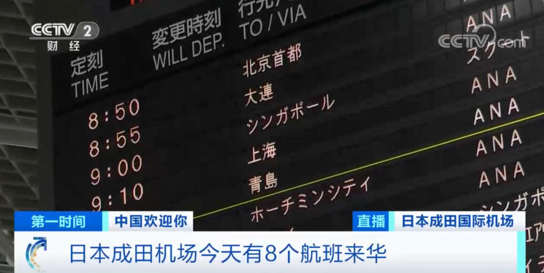 失业金最新政策解析，小巷中的宝藏与失业者的希望之光
