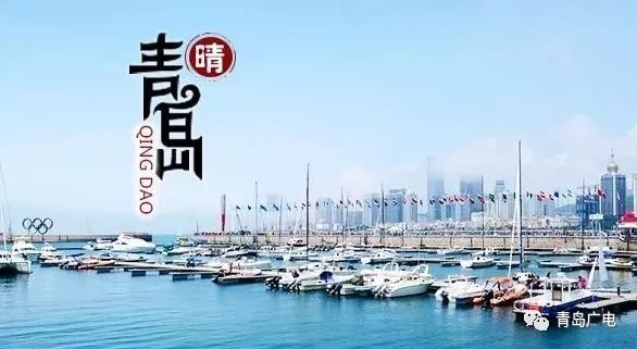 山东青岛最新消息及观点论述今日更新