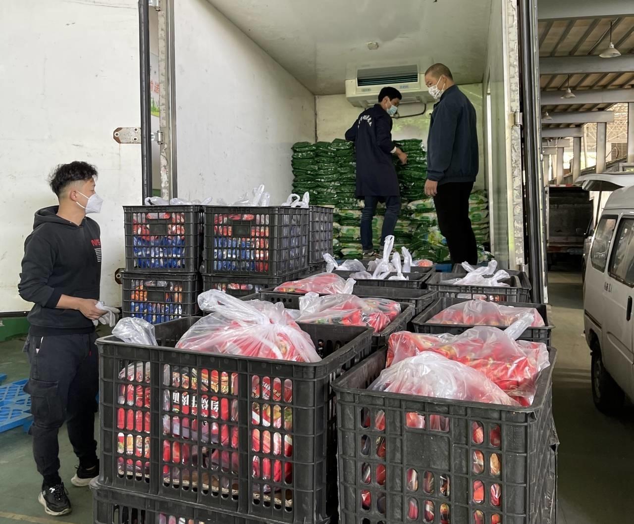 美国最新疫情报告与巷弄深处的独特风味探索
