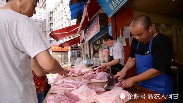最新猪价行情走势及小巷美食探秘，会大跌吗？