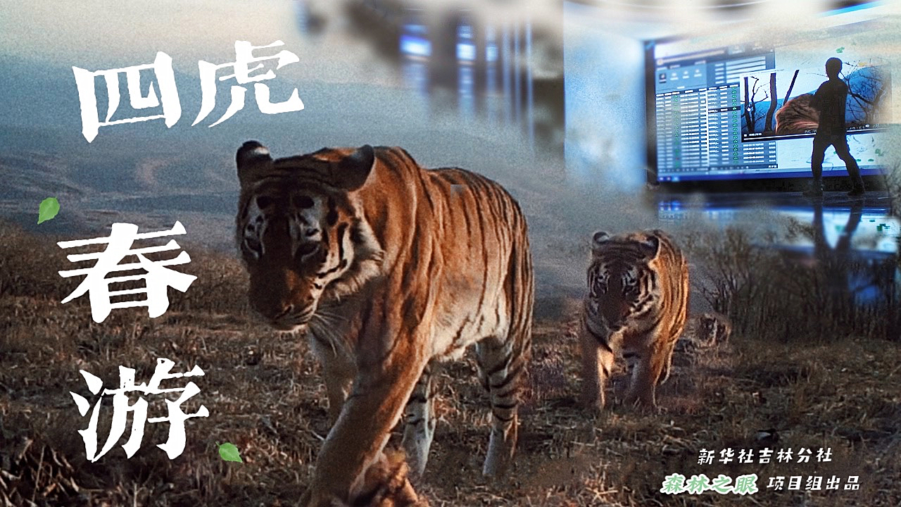 四虎最新版本的温馨日常分享
