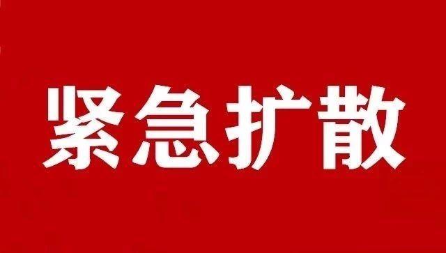 北京疫情分布图详解，制作步骤指南，适用于初学者与进阶用户
