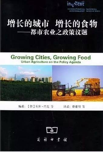 产业政策新风下的独特小店探寻记，小巷深处的惊喜故事