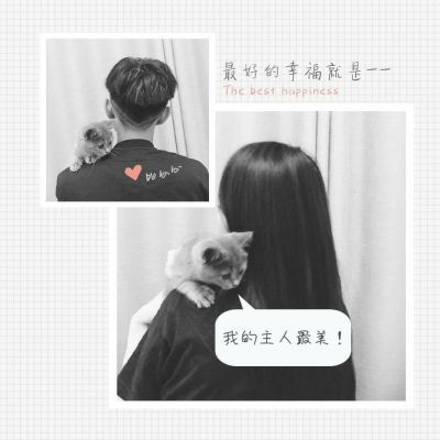 2019情侣网名最新版，爱的纽带与甜蜜日常之旅