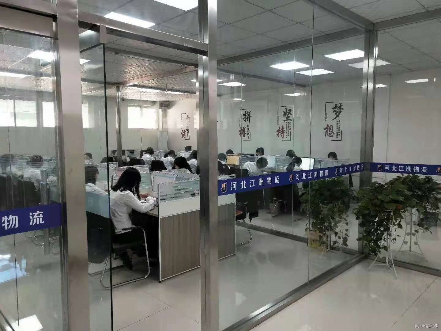 南和信息港最新动态解析报告