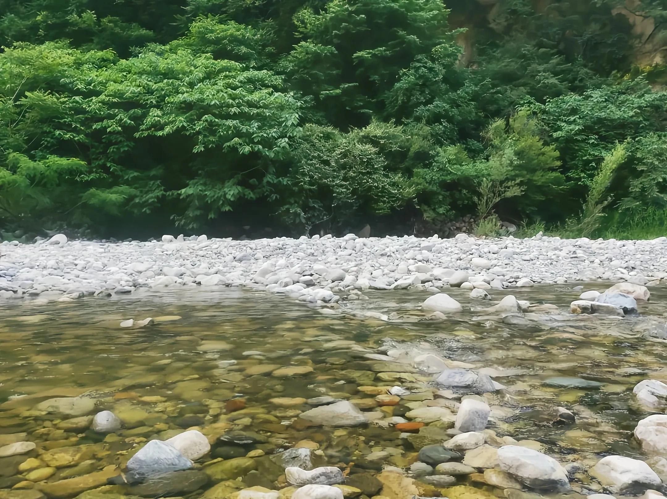 第983页