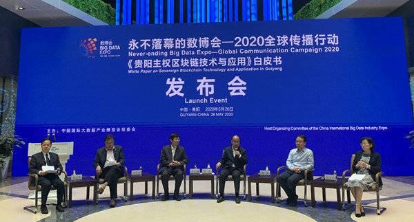 白皮书最新公布，深度解读与观点阐述