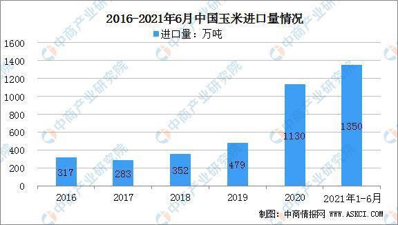 玉米行情最新报价及市场走势分析与预测