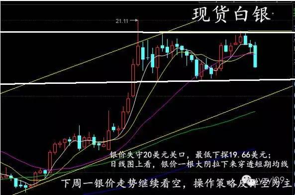 白银走势最新预测，与自然美景对话的旅行启示
