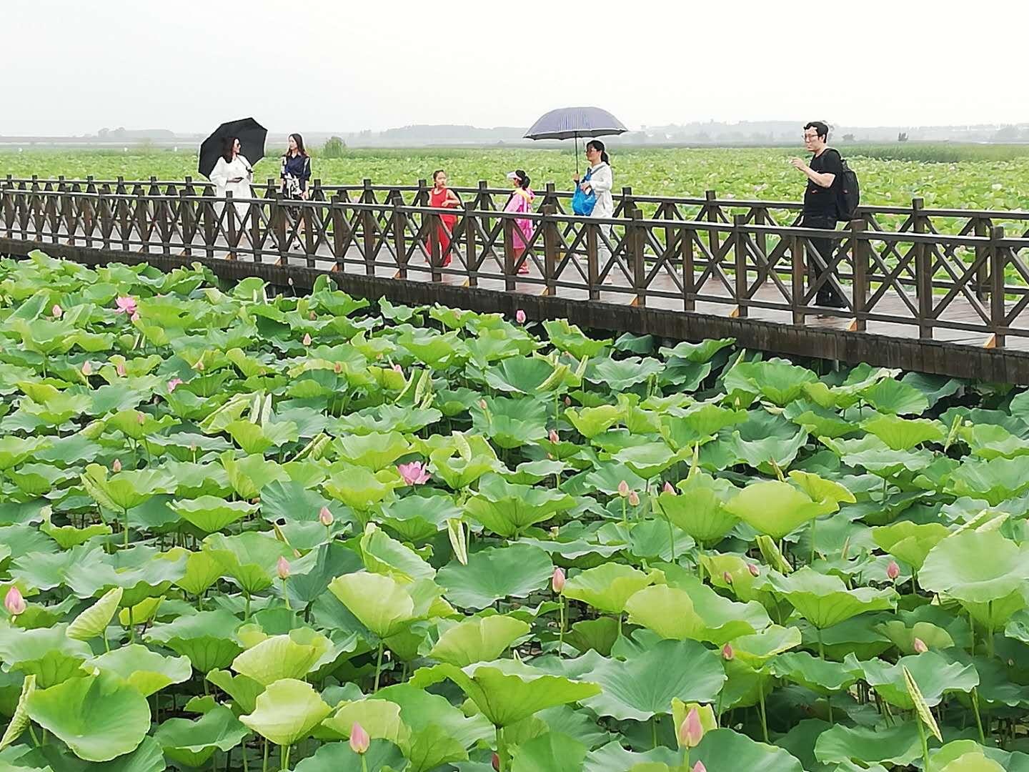 最新制度自信，心灵与自然的完美交融之旅