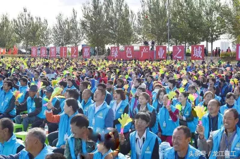 动森最新进程大揭秘，全新体验探索之旅