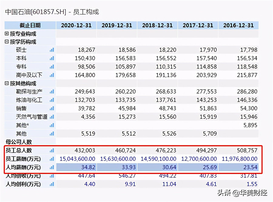 中石化最新工资揭秘，时代印记与行业变迁下的薪酬概览