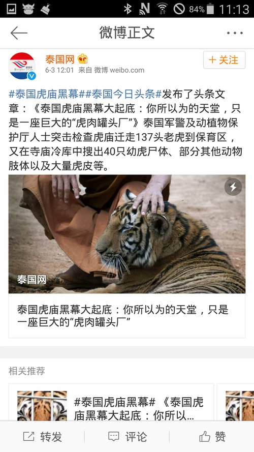 色虎最新版的涉黄问题探讨文章。
