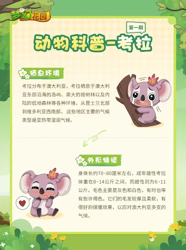 考拉最新版特点及应用科普介绍