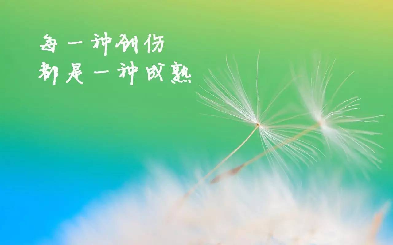 早安励志正能量，与自然美景的邂逅，内心的平和之旅启航