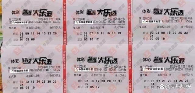 红金龙价格表与图片，变化、学习与自信的力量展现魅力风采