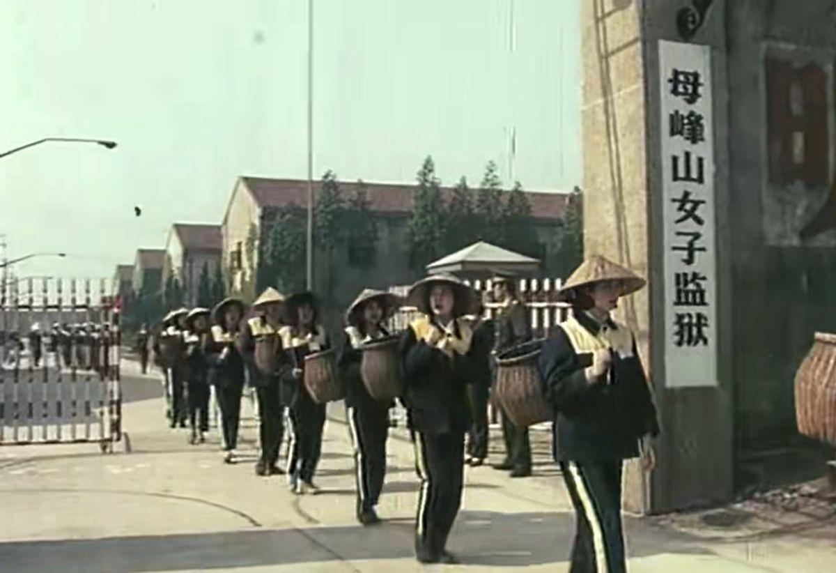 第785页