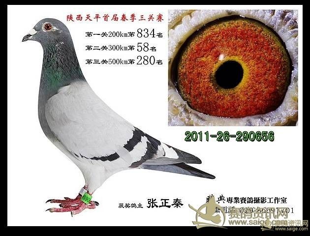 第747页