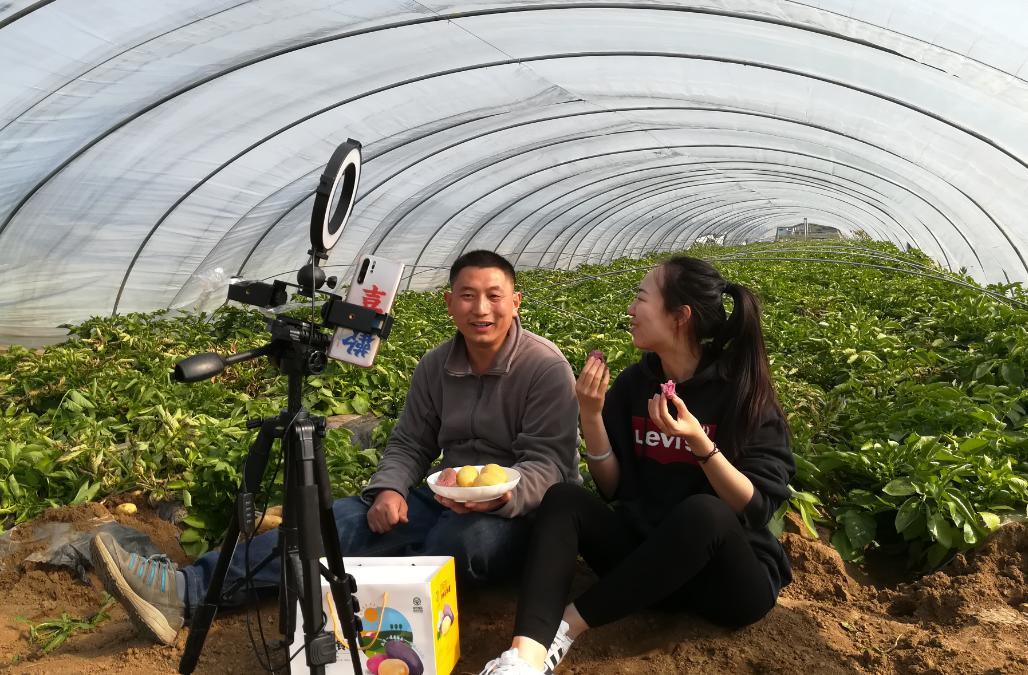 最新游戏主播招募，科技之光，点亮你的游戏生涯！