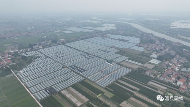 澧县最新房价揭秘，探寻理想新家之旅