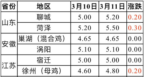 时代背景下的市场波动与影响，今日麻鸡价格最新动态分析