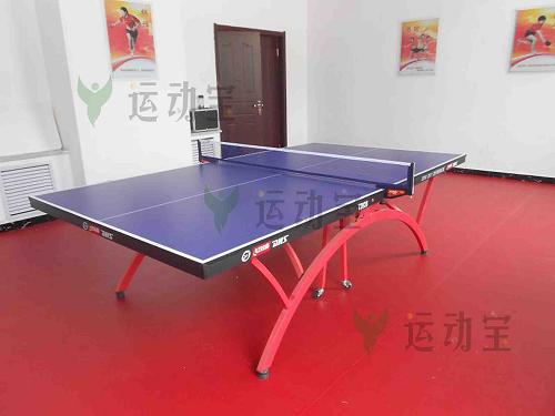乒乓球最新规则揭秘，小巷深处的竞技宝藏探索