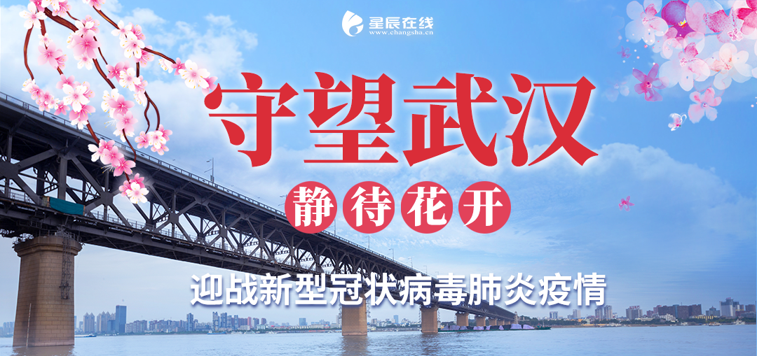 长沙市疫情最新动态，变化中的力量与学习带来的自信与成就感