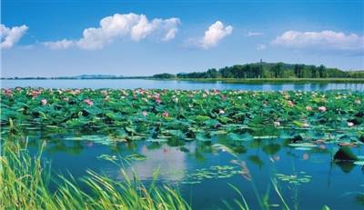 沪苏湖最新动态，夏日奇遇揭秘