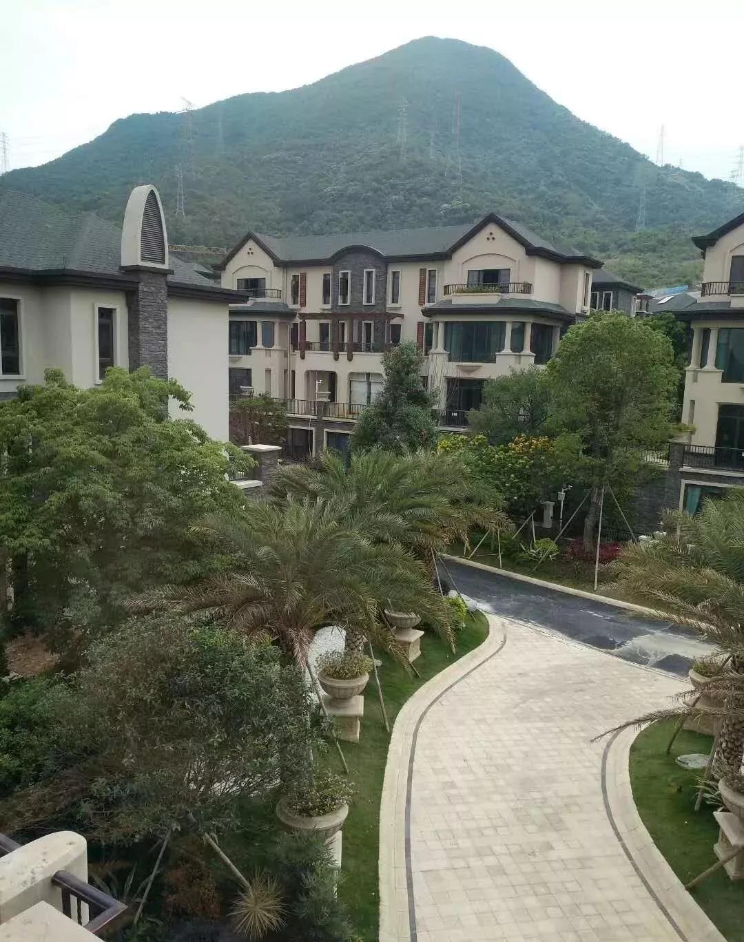 承德最新任命详解，任命流程与步骤指南