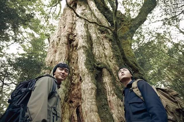荒岛求生最新版本攻略揭秘，生存指南与攻略大解密！