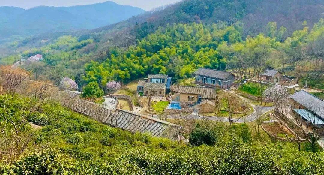 219国道最新路况与小巷美食秘境探秘