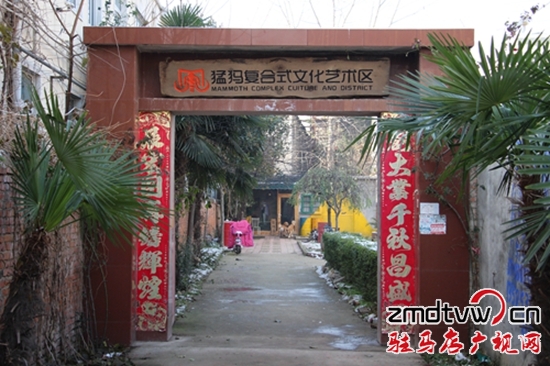 巷弄深处的独特宝藏，特色动物园小店——最新动物园探索之旅