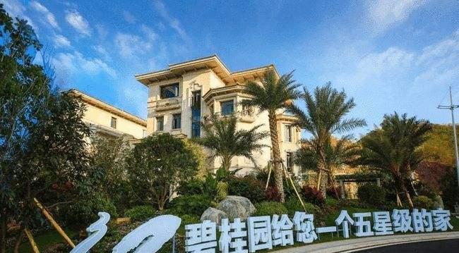 碧桂园降价最新动态，时代印记下的行业重塑与策略调整