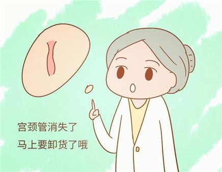 聚焦分娩过程与人物情感的最新电视剧热播中