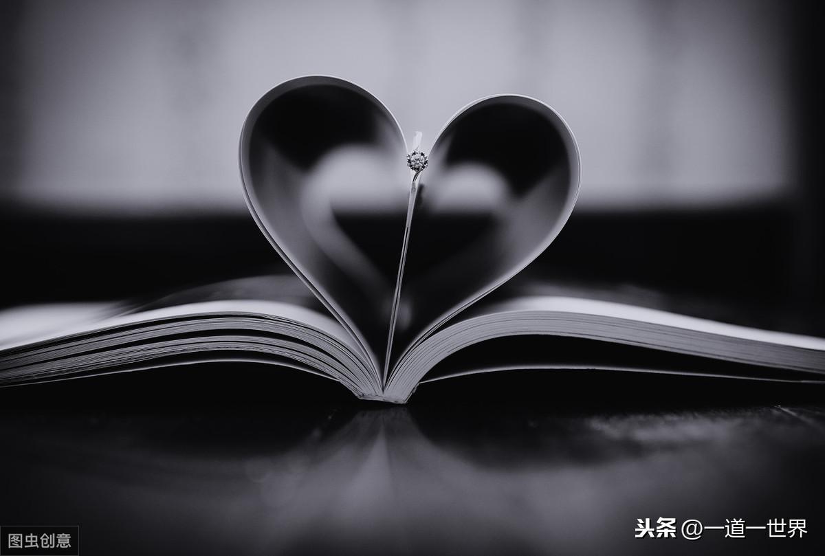 废纸箱新行情与科技重塑未来，废纸箱的新生命之旅探索智能再生科技趋势
