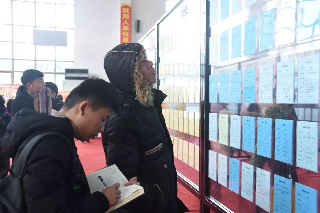 武义最新招聘信息，日常故事中的求职机遇探索