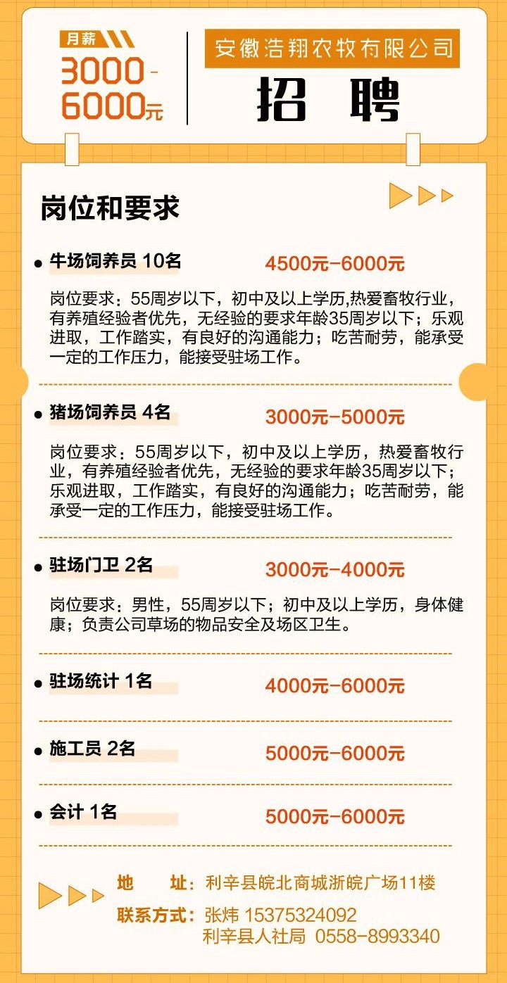 龙岗招聘网最新招聘信息及求职步骤指南